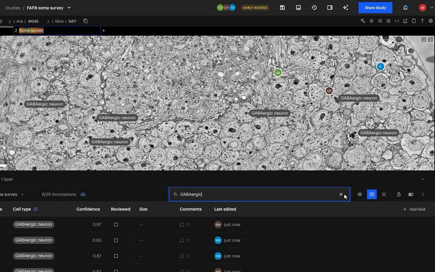 The annotation search set to GABAergic: 6 of 29 annotations, and only the GABAergic cells left on the image.