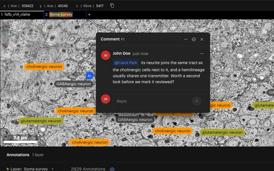 A comment on an annotated cell mentioning @Carol Park, with a reply box.