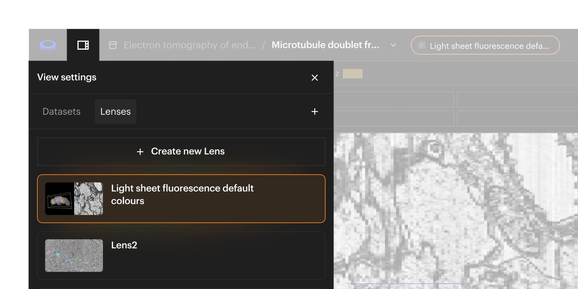 The View settings panel on the Lenses tab: a light-sheet fluorescence Lens selected beside another Lens, with Create new Lens above, over an electron-microscopy slice.